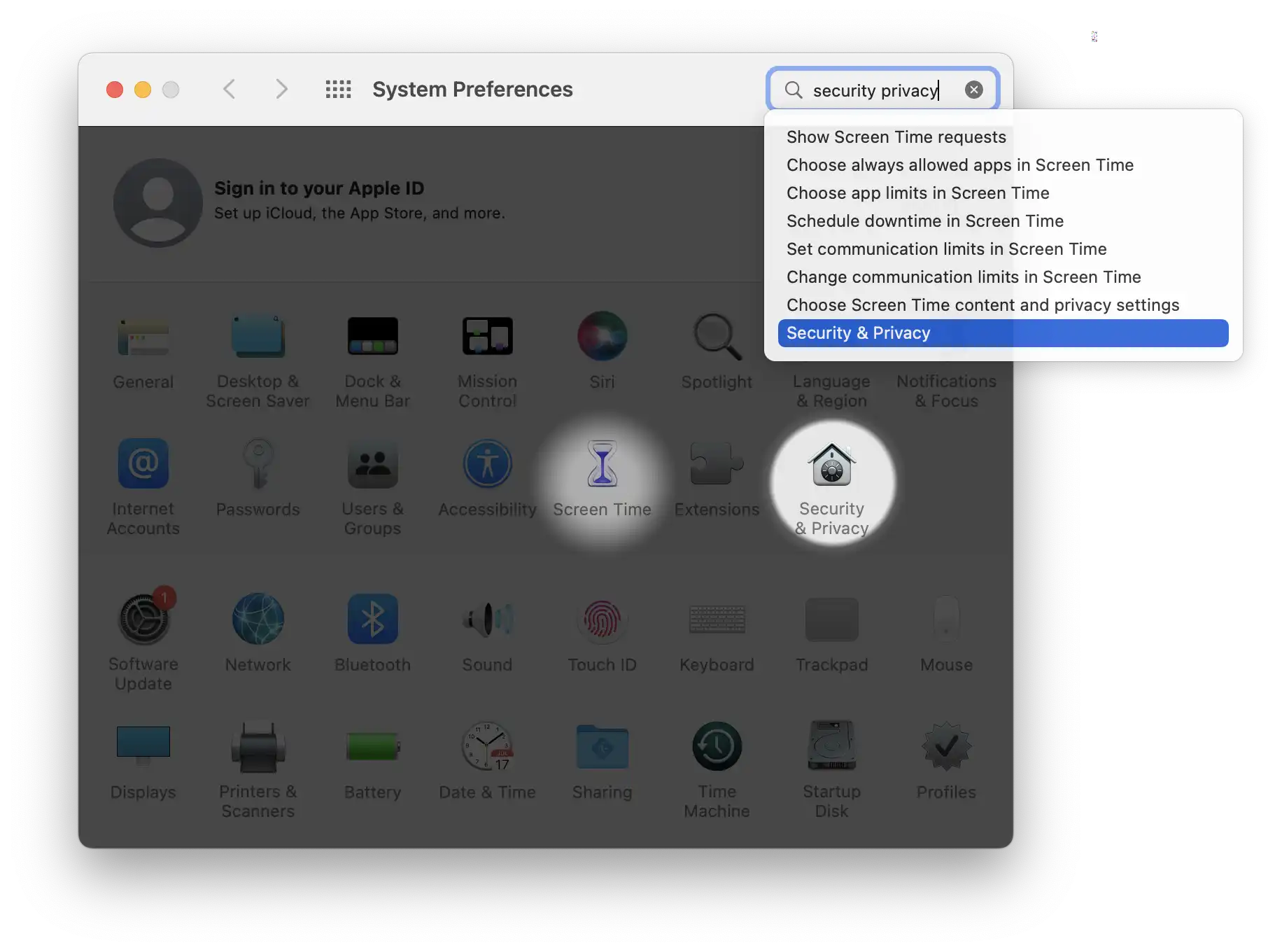 Security and Privacy on System Preferences Window