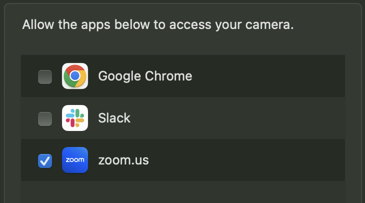 Allow Camera Access Only Specific App